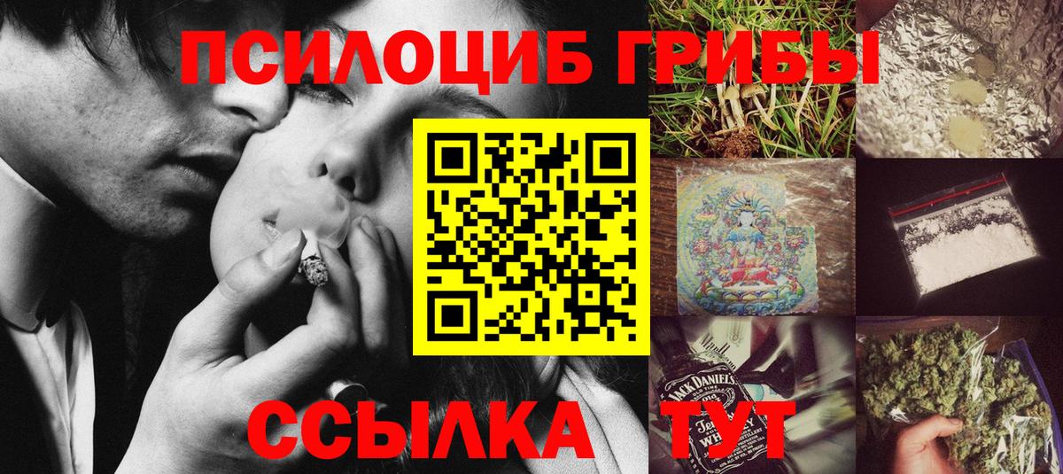 Галлюциногенные грибы Magic Shrooms  Вход с VPN  Галлюциногенные грибы Psilocybine cubensis  Гатчина 